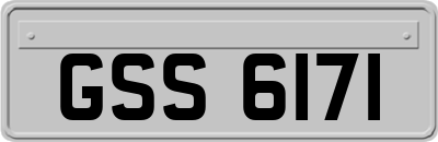 GSS6171