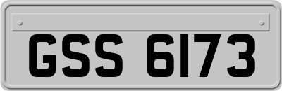 GSS6173