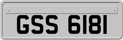 GSS6181