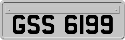 GSS6199