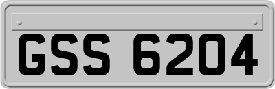 GSS6204