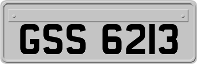 GSS6213
