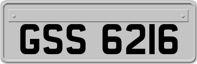 GSS6216
