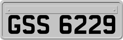 GSS6229