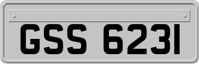 GSS6231