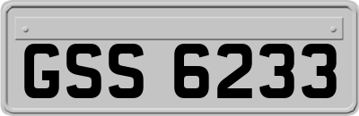 GSS6233