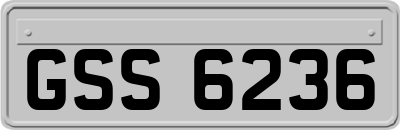 GSS6236