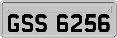 GSS6256