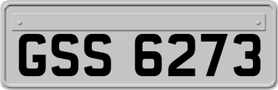 GSS6273