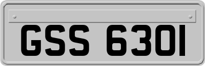 GSS6301