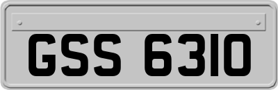 GSS6310