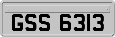 GSS6313