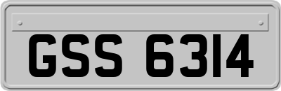 GSS6314