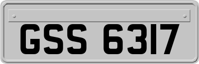 GSS6317