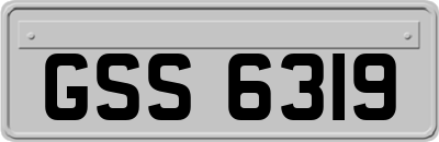 GSS6319