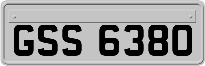 GSS6380
