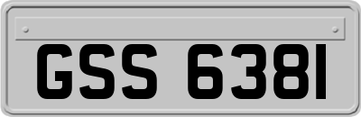 GSS6381