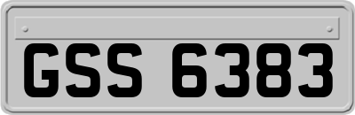 GSS6383