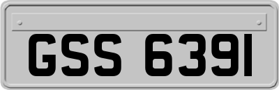 GSS6391