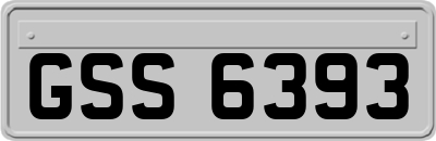 GSS6393