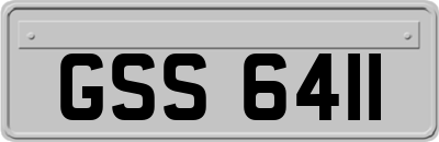 GSS6411