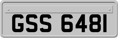 GSS6481