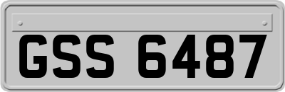 GSS6487