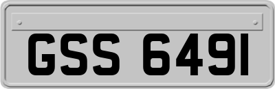 GSS6491