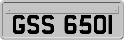 GSS6501