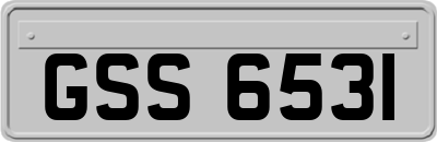 GSS6531