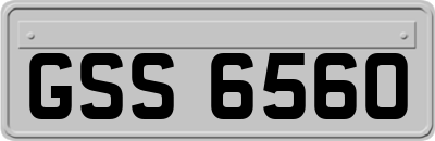 GSS6560