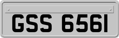 GSS6561