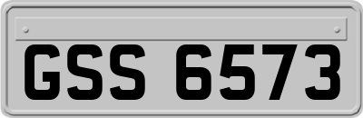 GSS6573
