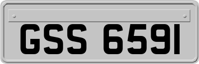 GSS6591