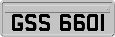 GSS6601