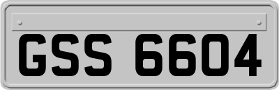 GSS6604