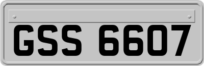 GSS6607