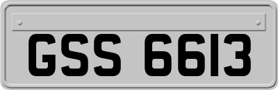 GSS6613