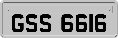 GSS6616