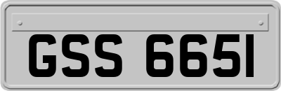 GSS6651