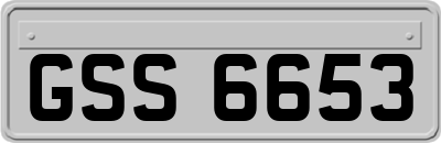 GSS6653