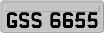 GSS6655