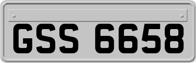 GSS6658
