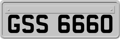 GSS6660