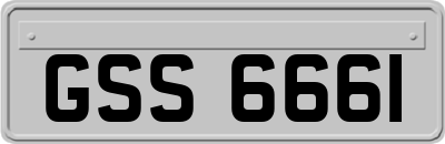 GSS6661