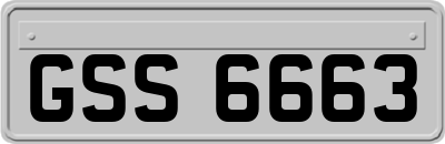 GSS6663