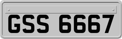 GSS6667