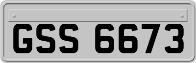 GSS6673