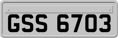 GSS6703