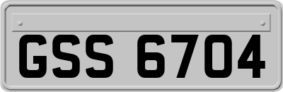 GSS6704